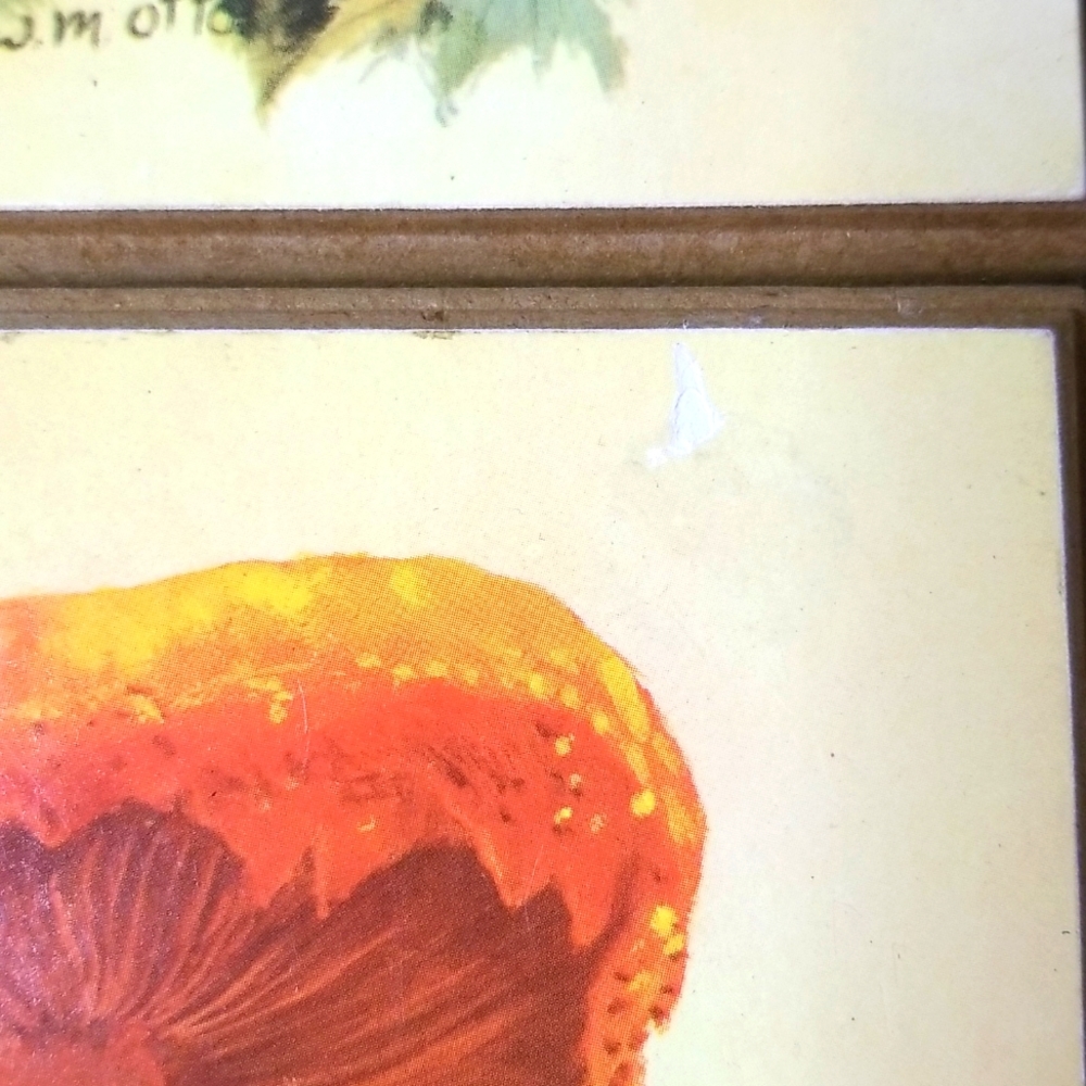 Vintage W.M. Otto MCM 1970's Mushroom Wood Plaques-Set of 4 - Picture 5 of 9